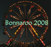 Ferris wheel at Bonnaroo 2008.