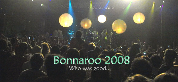 The Crowd for Sigur Ros at the 2008 Bonnaroo festival.