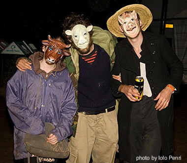 Americana music and raves at Green Man 2007